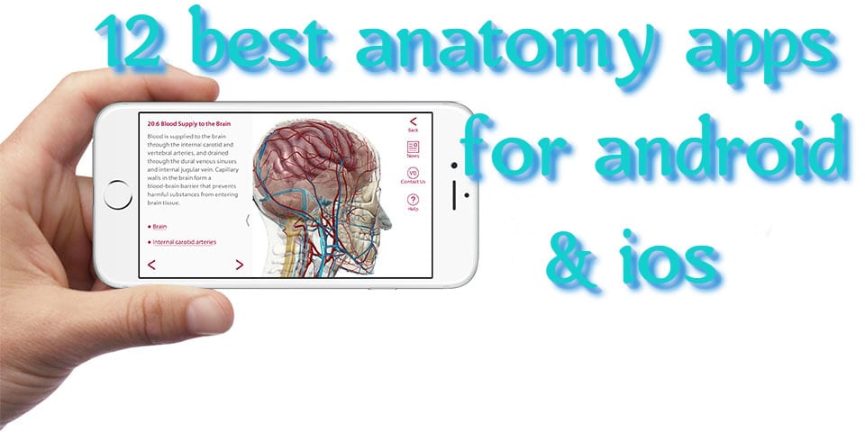Best Anatomy App For Mac Reddit